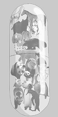 Fil:Rebus 2003bob.jpg